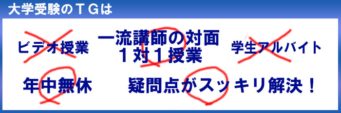 一流講師の完全一対一個人授業 大学受験のTG