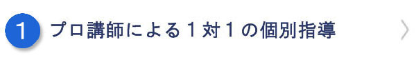 全教科プロによる１対１の個別指導