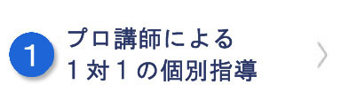 全教科プロによる１対１の個別指導
